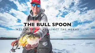 VMC&reg;  | NEW Bull Spoon