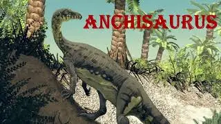 anchisaurus