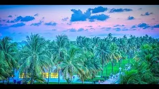 Miami Cover