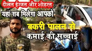 अब GOAT FARMING गरीबों का BUSINESS नहीं बल्कि अमीरी लाने और शोहरत पाने का एक रास्ता है 💡 #BakriPalan