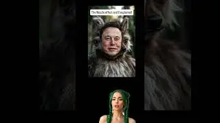 The Woozle Effekt and X! Propaganda explained!
