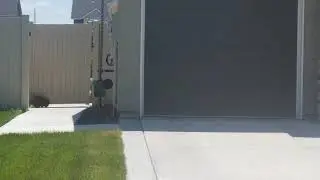 Badger on the loose in Spring House subdivision.