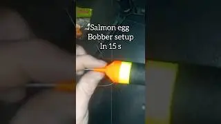 15 SEC Salmon Egg Bobber River Fishing Setup #bobberdown #salmonfishing #riverfishing #troutfishing