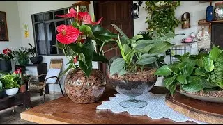 Ensinando na pratica como monto os arranjos em vidro! - Ateliê Florescer