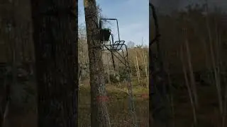 Ram Hunting in Tennessee (Part 3) | Don Ferge