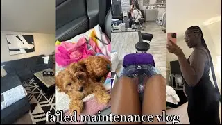 vlog: updated living room + new dog mom + failed maintenance vlog