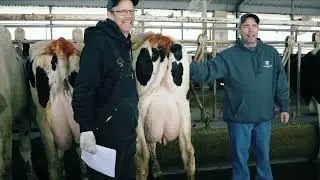How GENEX ICC&trade; Helps Dairy Farmers Build Profitable Cows