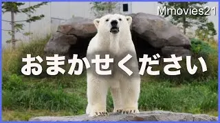 ホッキョクグマガイドが意外な結末で締めくくられ飼育員さんも思わず笑顔「リラ」の熱い一日