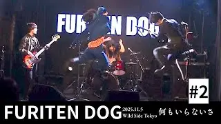 [LIVE] FURITEN DOG - 