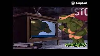 Nigaturtle wacthing sker Buffalo 