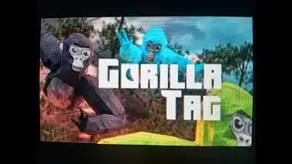 play Gorilla Tag with my fans