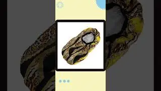 Braids Bonnet Cap Yellow Leopard Print Unisex