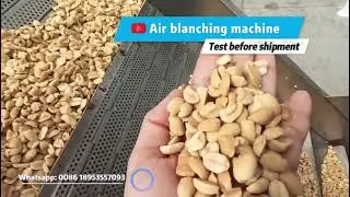Peanut Air Blanching Peeling Machine #peanutpeeler#airblancher #peanutpeelingmachine#peelingmachine