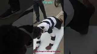 West Bengal to Adiyogi | Deep Bhai | #Viral video #trendingvideo #deepbhai #মকরামপুর চলে এসেছে