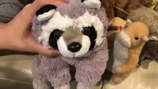 The stuffy Gang get together Interview with the raccoon￼