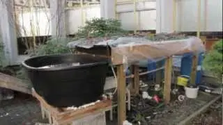 Wellington Secondary's Green Wall Project