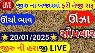 Jeera na bhav | 21-01-2025 | જીરું ના ભાવ:2025 | live cumin trading in  APMC | commodity Trend