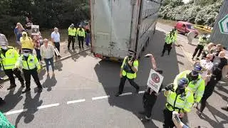 Ramsgate, Kent - Live Animal Exports, 24 Aug 20