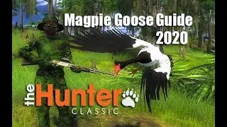 theHunter Classic - Magpie Goose Guide 2020