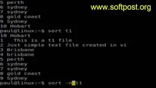 How to sort file numerically in Linux