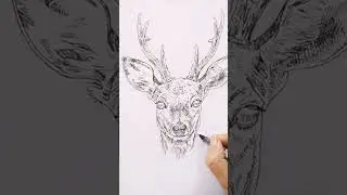 Inktober 2025 - Day 5 - Deer  #inktober