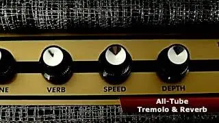 Supro 1610RT Comet Amplifier Tone Report Demo by Andy Martin