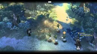 Tree of Savior - Test Beta via Steam