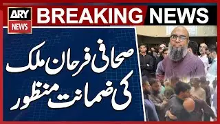 Court grants bail to senior journalist Farhan Mallick
