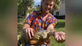 🐲🐲 iguana Bite my Hand 😱😱 Dangerous iguana l Reptiles 🐍🐲 😱 #shorts #short l viral  video