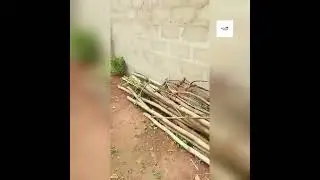 Inside a N20M ($49,000) 3 bedroom Bungalow in Thinkers Corner extension, Enugu