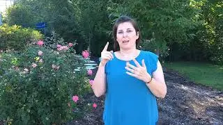 MT&A Community Liaison Introduction