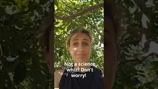 Not a science whiz? Don&rsquo;t worry!#YogaAnatomy #LearnAnatomy #GranCanaria #HathaYoga #YogaPractice