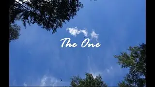 Slfm ~ The One (Official Lyric Video)