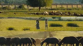 TRAVEL-Fx3 -dji air 2s    Beautiful Nature of Iran