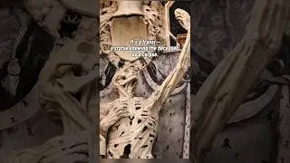 This 500-Year-Old Corpse Is A Masterpiece | #art#sculpture #arthistory #history