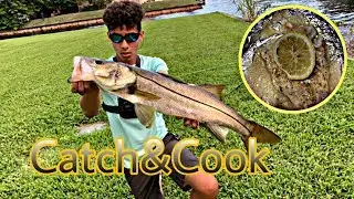 Caught A Slot SNOOK During The 2019 Mullet RUN! (Catch Clean Cook)