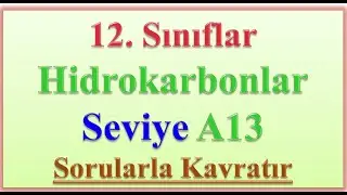 12. SINIF HİDROKARBONLAR SEVİYE A13