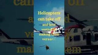 Helicopter  #facts #rainbowkids #transport #bug  #helicopter