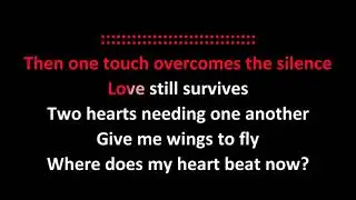 Celine Dion - Where Does My Heart Beat Now KARAOKE