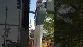 Walk Signal