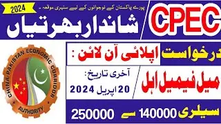 Latest Pak China CPEC Jobs-govt CPEC Jobs for male & female 2024 in Pakistan-Government Jobs