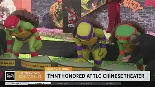 Teenage Mutant Ninja Turtles leave their prints at TLC Chinese Theater