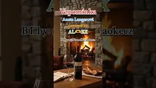 Vzpom&iacute;nka - Aneta Langerov&aacute;/cover by AL🫶EX