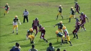 Sam Conteh Defensive End #5 Grade 11 Highlight Tape 2016 (Junior Year)
