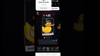 Duck my Duck NFT game p2e f2p tap to earn Бесплатная игра. Подробнее в тг. Ссылки в комменте. #t2e