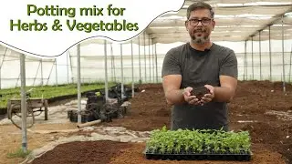 Gardening Soil Mix for Herbs & Vegetables  || Best Soil mix for your kitchen gardens
