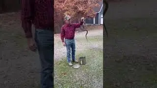 Mark Day lives in the Missouri Ozarks doing this and that in his place in the woods. Come along.