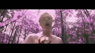 Young Lungs - Pink Tree (OFFICIAL MUSIC VIDEO)