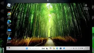 LENOVO ThinkPad T495 &ndash; Can It Run Games?