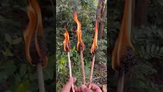 Survival Skills:✅Make a Camping Fire Starter🔥 #camping #bushcraft #survival #lifehacks #Outdoors